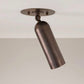 Handmade Tylin Adjustable Can Light