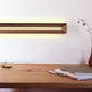 Wallnut Linear Wall Light - The Lighting Agency